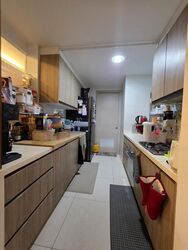 Optima @ Tanah Merah (D16), Condominium #469297211